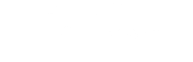 ALL BIZ CASH